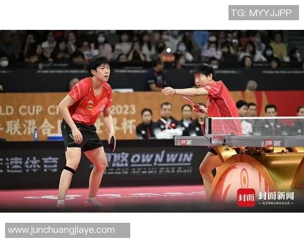 上海乒乓球队的节奏分析与未来发展趋势探讨