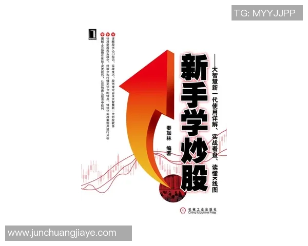 南京飞盘队快攻战术解析与实战应用研究