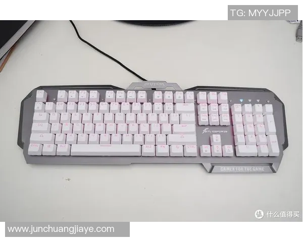 提升游戏体验DOTA2机械键盘推荐与选购指南