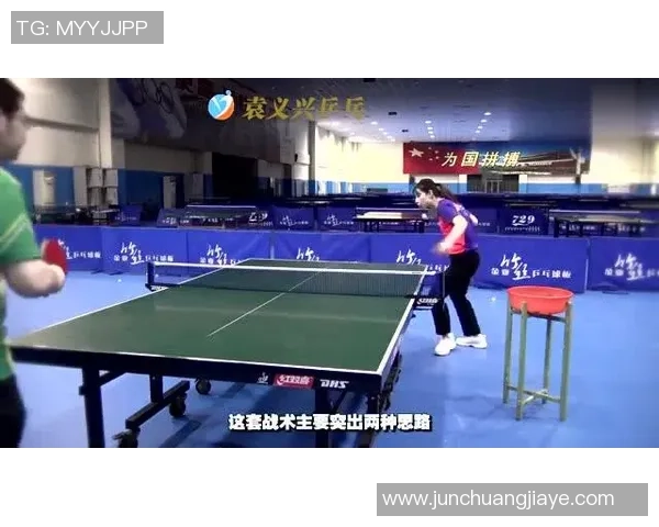 杭州乒乓球队阵地战体系探析与战术应用研究